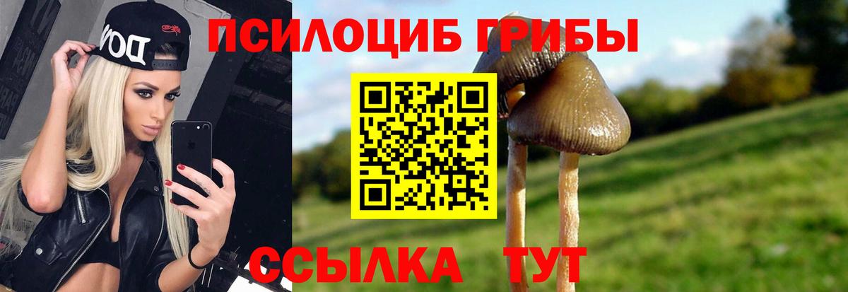 Набережные Челны  как найти   Вход с VPN  Галлюциногенные грибы Psilocybe 
